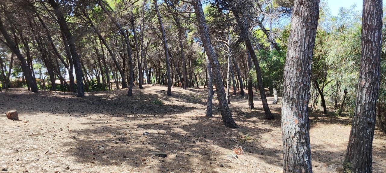 Oasis Escape Βίλα Vaccarizzo-Delfino Εξωτερικό φωτογραφία