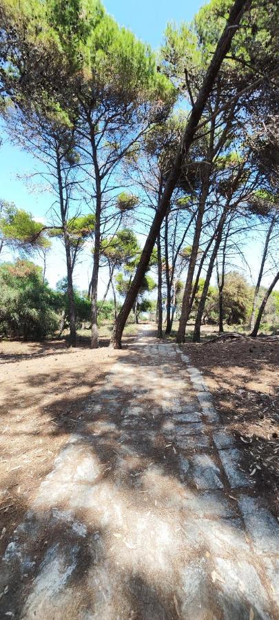 Oasis Escape Βίλα Vaccarizzo-Delfino Εξωτερικό φωτογραφία
