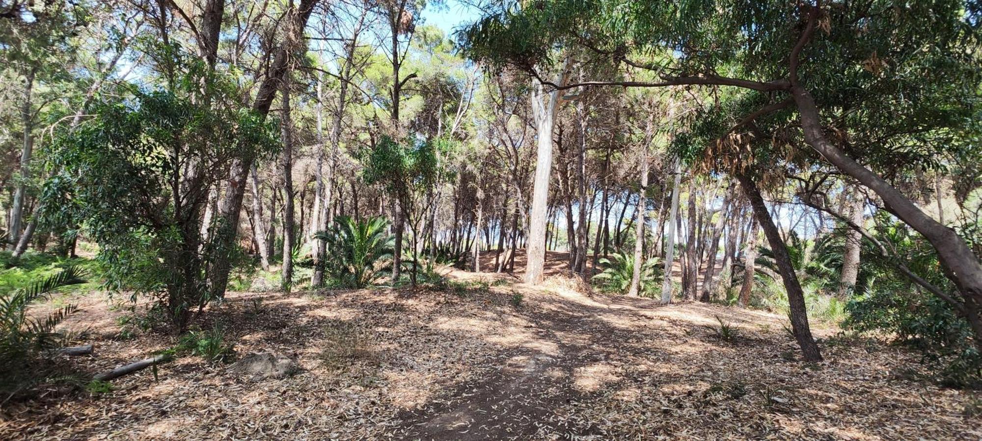 Oasis Escape Βίλα Vaccarizzo-Delfino Εξωτερικό φωτογραφία